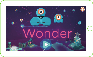 wonder